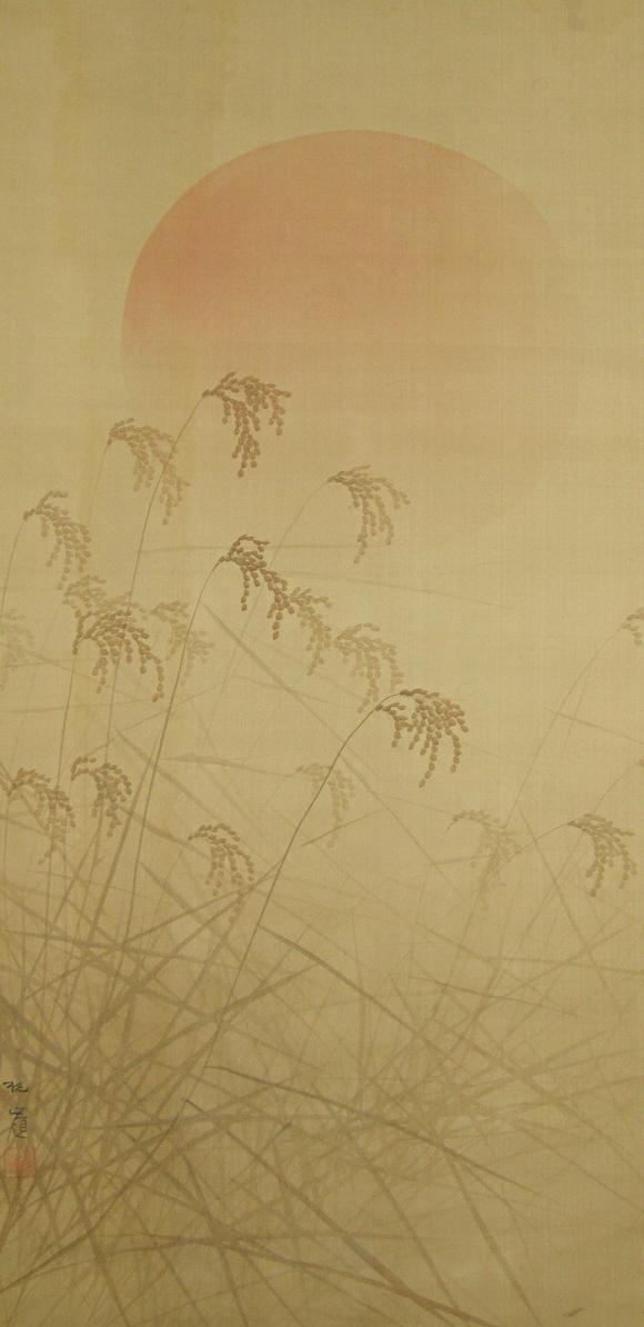 Silver Grass in the Sunset