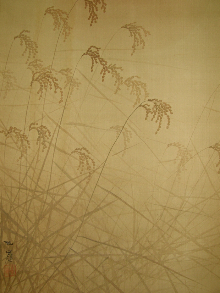 Susuki (Silver Grass)