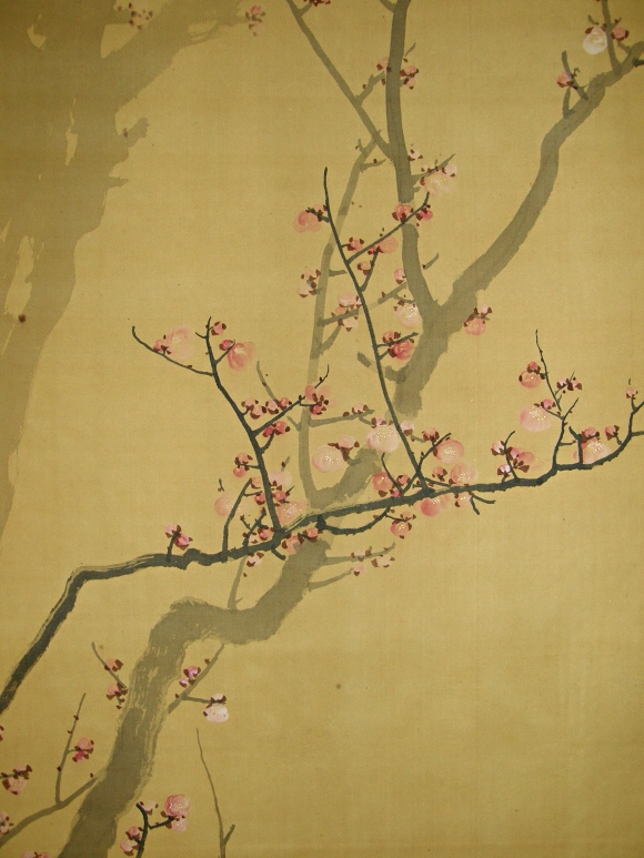 Ume Tree (Japanese Apricot)