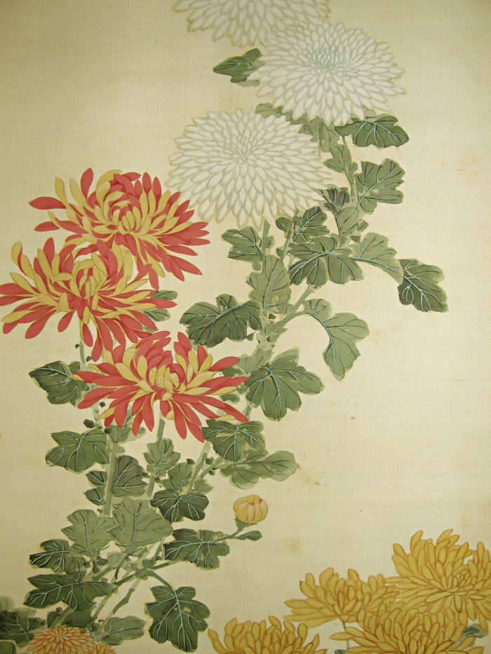 Colorful Kiku Flowers