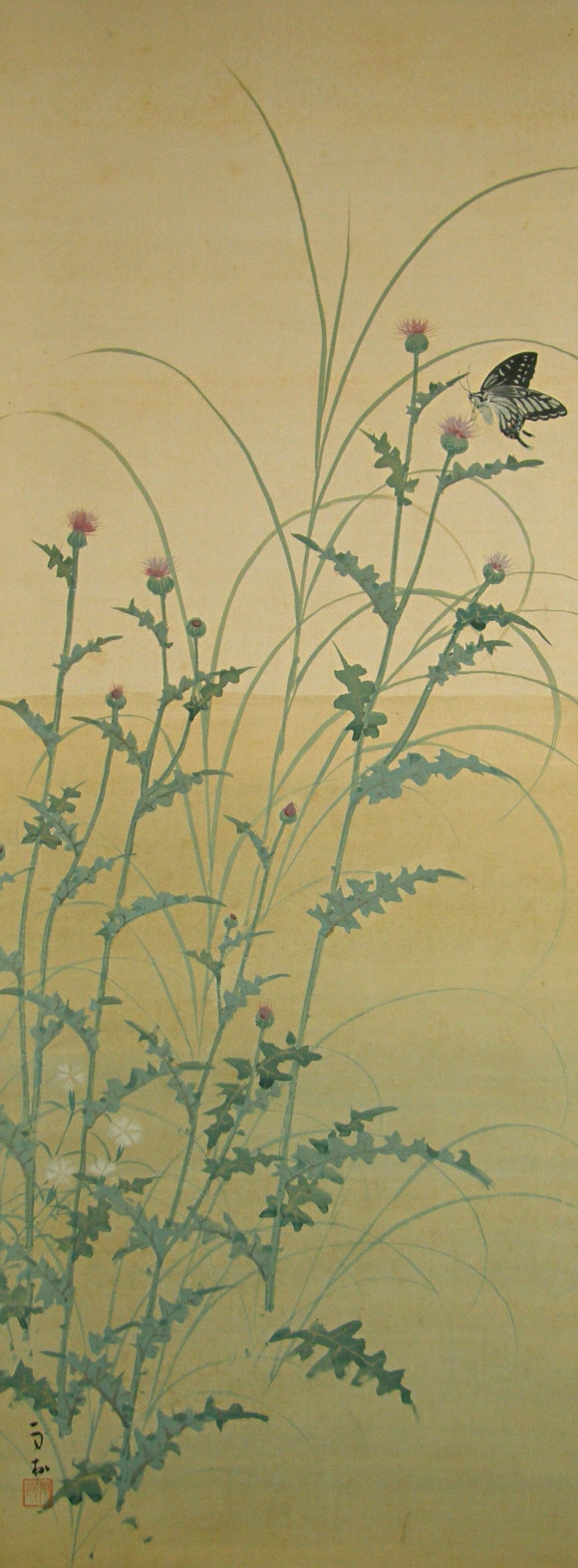 Thistle Flowers & Leaves, Butterfly