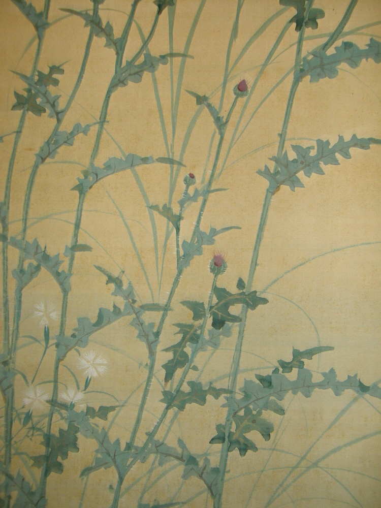 Thistle Flowers & Leaves