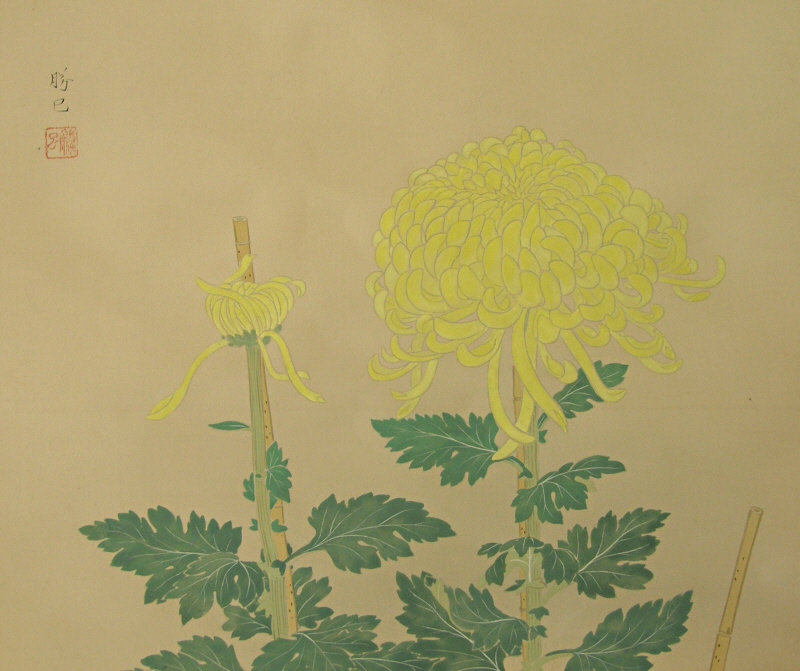 Japanese Kiku Flowers and Leaves