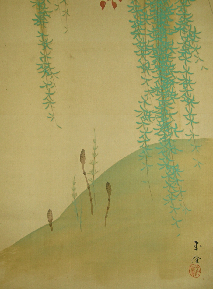 Tsukushi (Japanese Horsetail)