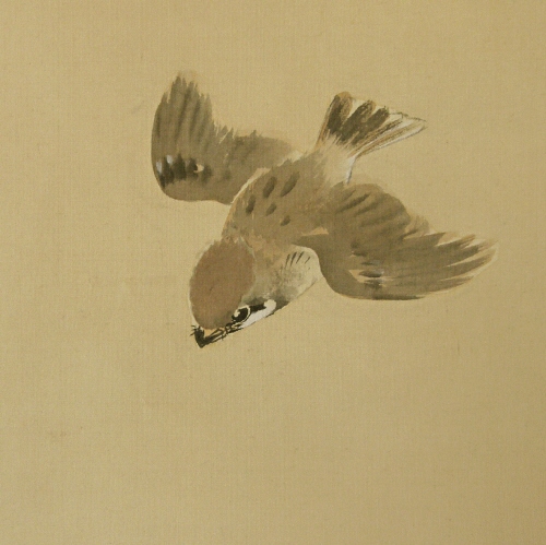 Suzume Bird (Japanese Sparrow)