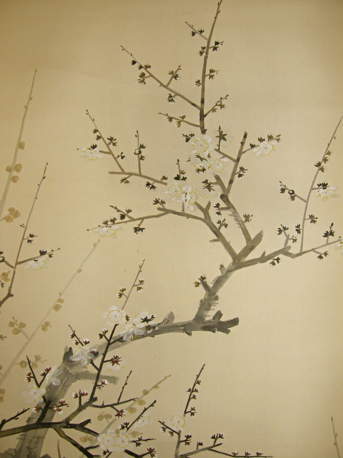 Ume (Japanese Apricot Tree)