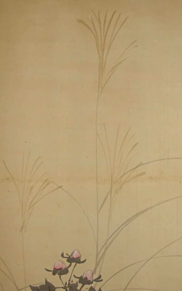 Japanese Silver Grass (Susuki)