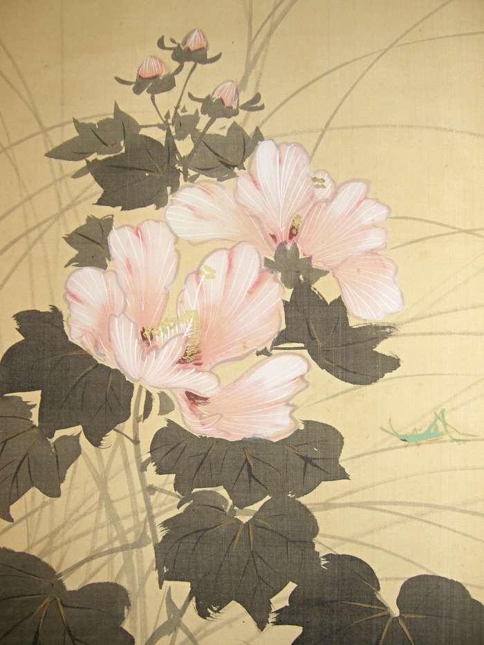 Japanese Hibiscus, Locust