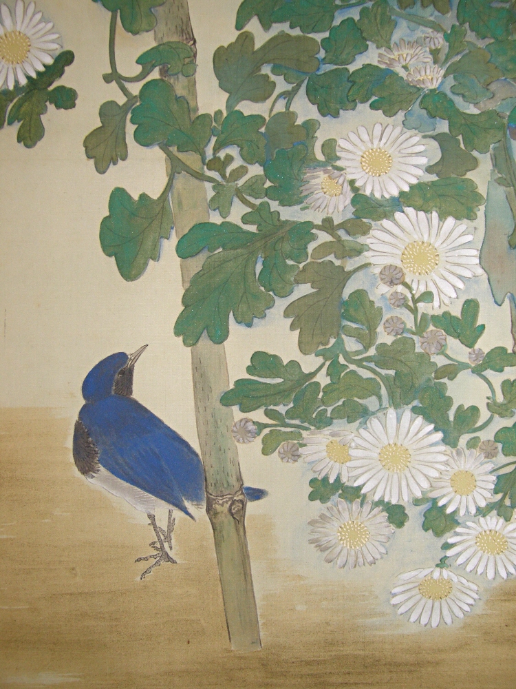 Ooruri Bird (blue whistling thrush)