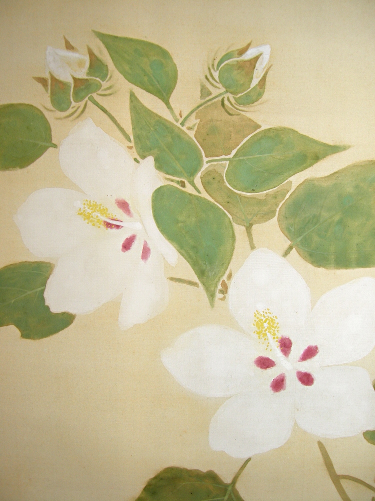 Cotton Rose Flowers and Leaves