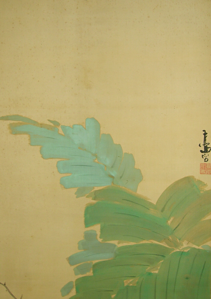 Japanese Plantain Banana Leaves