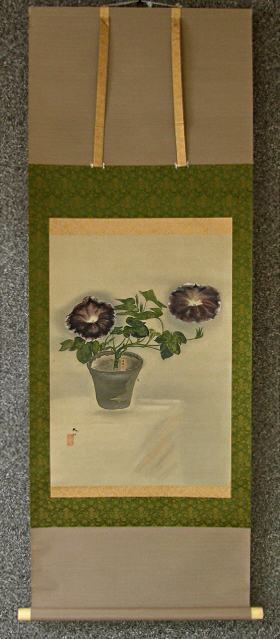[ Morning Glory ]