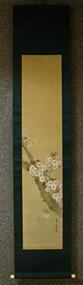 [ Sakura Flowers ] Cherry Blossoms