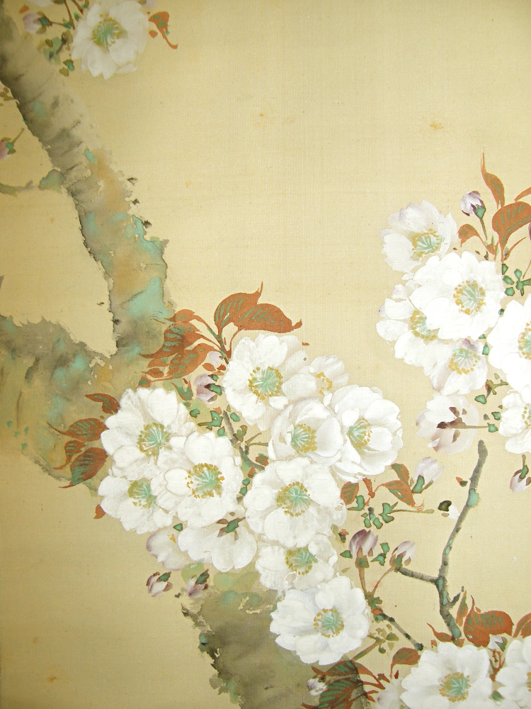 SS-40099 [ Japanese Cherry Blossoms ] Antique Kakemono Painting for Sale