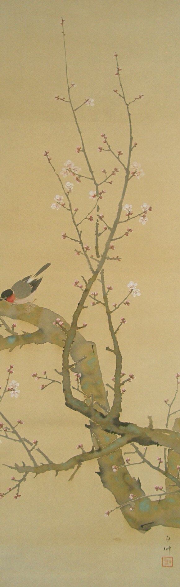 Japanese Apricot Tree & Uso Bullfinch Bird