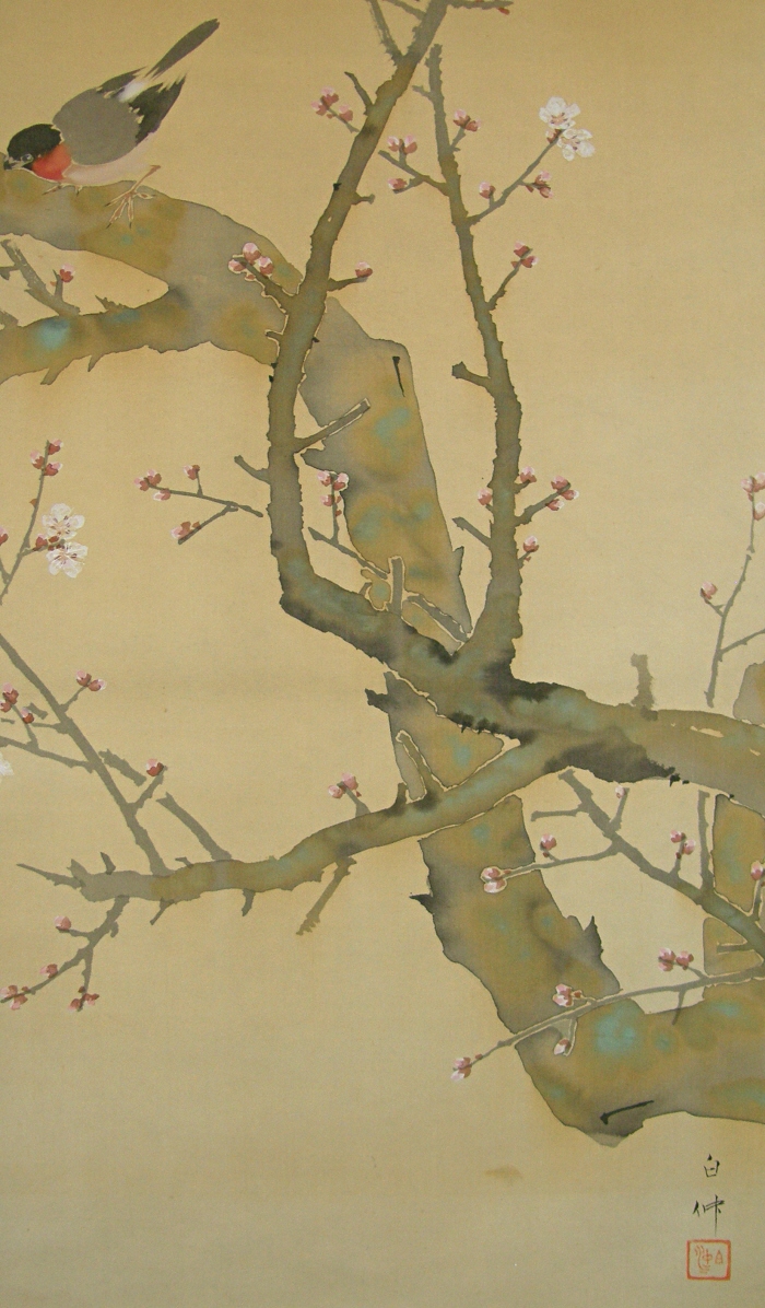 Ume Japanese Plum Tree