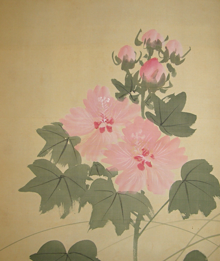 Confederate Rose Flowers & Leaves