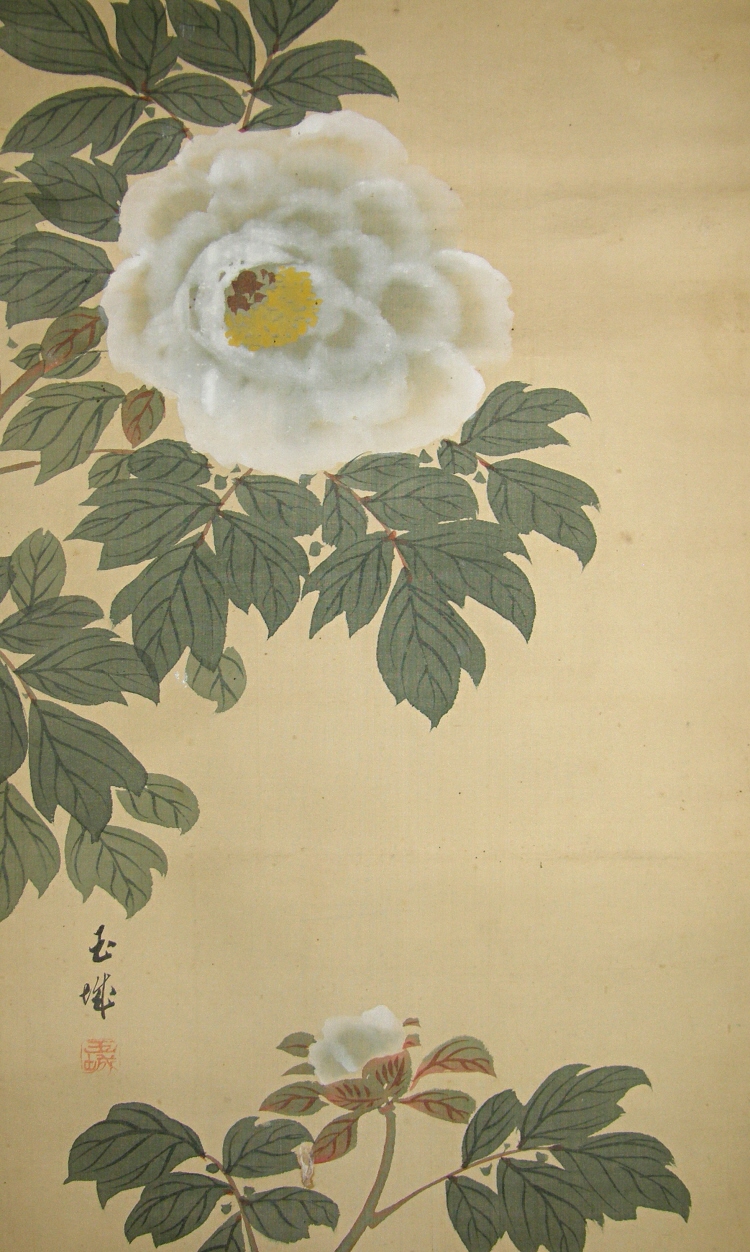 Japanese Peony Flower & Leaf