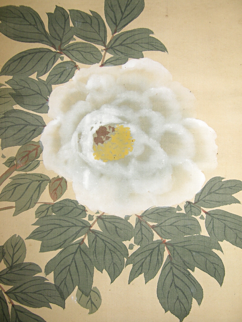 Japanese Peony Flowers & Leaves