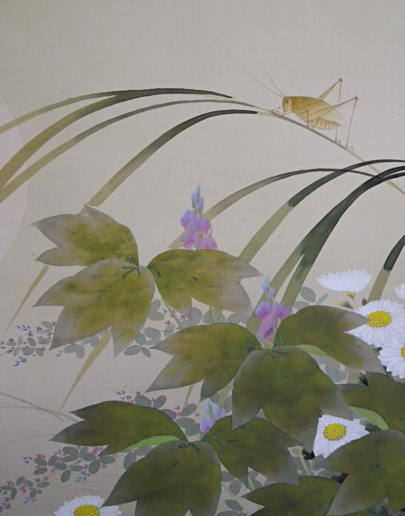 Mecopoda nipponensis, Hagi & Kiku & Kikyo Flowers