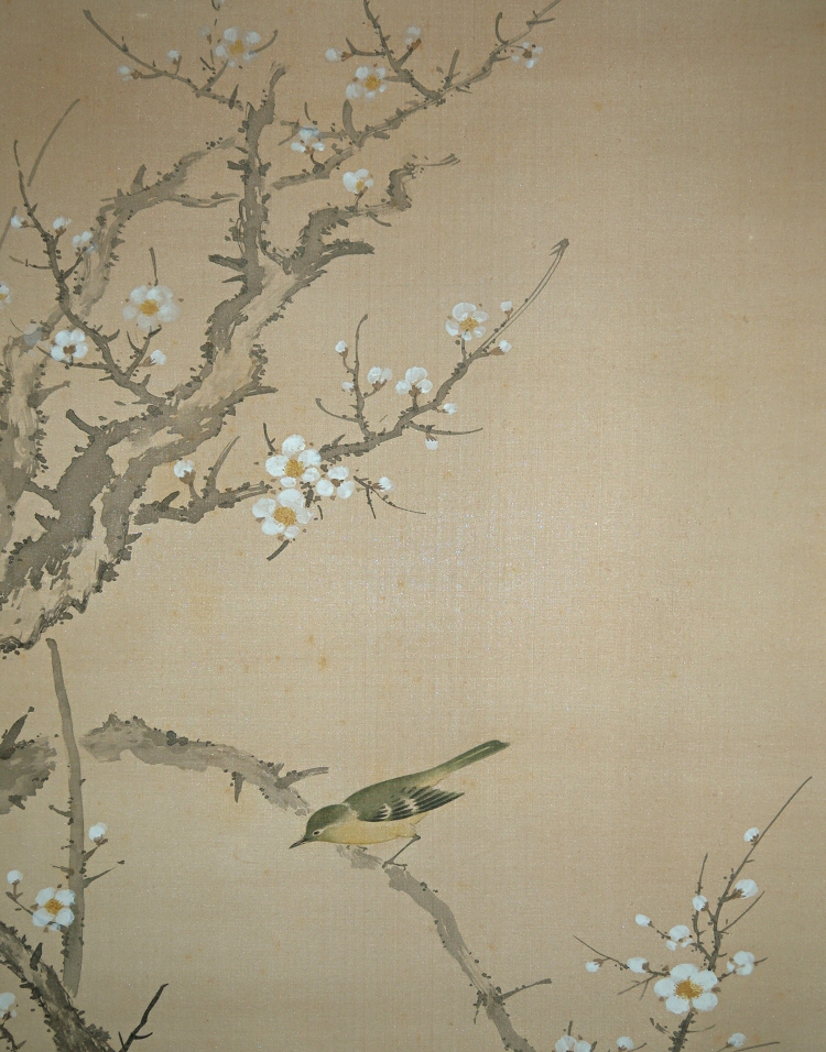 Uguisu Bird (Japanese Bush Warbler)