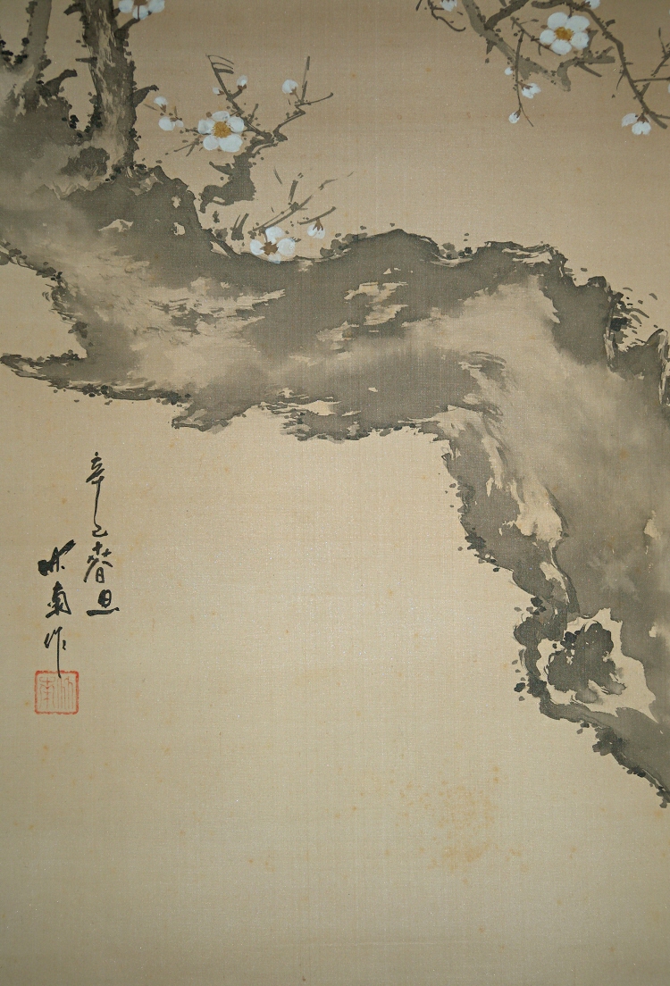 Ume (Japanese Plum Tree)