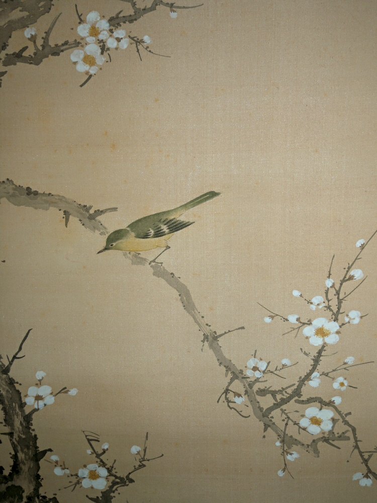 Plum Flowers & Japanese Bush Warbler