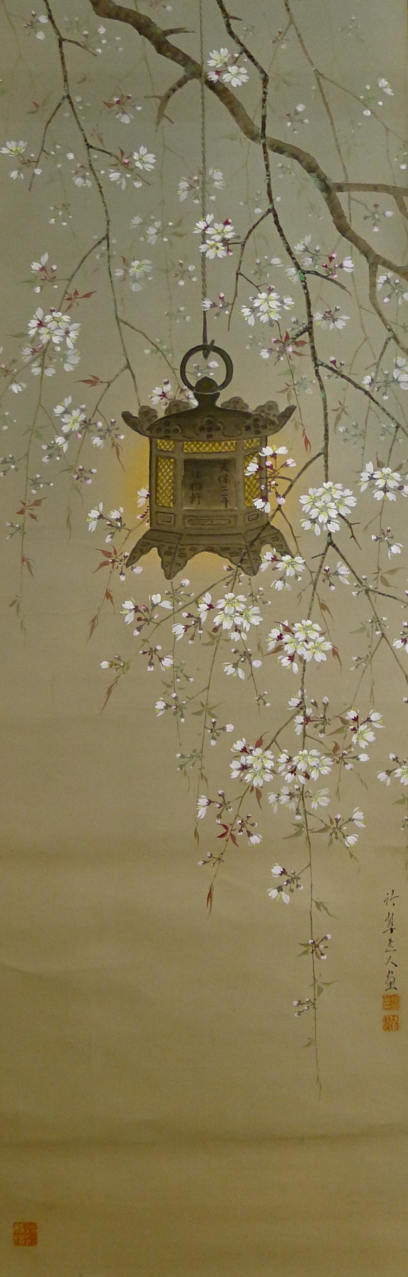 Japanese cherry flowers candlelit by Tourou lantern