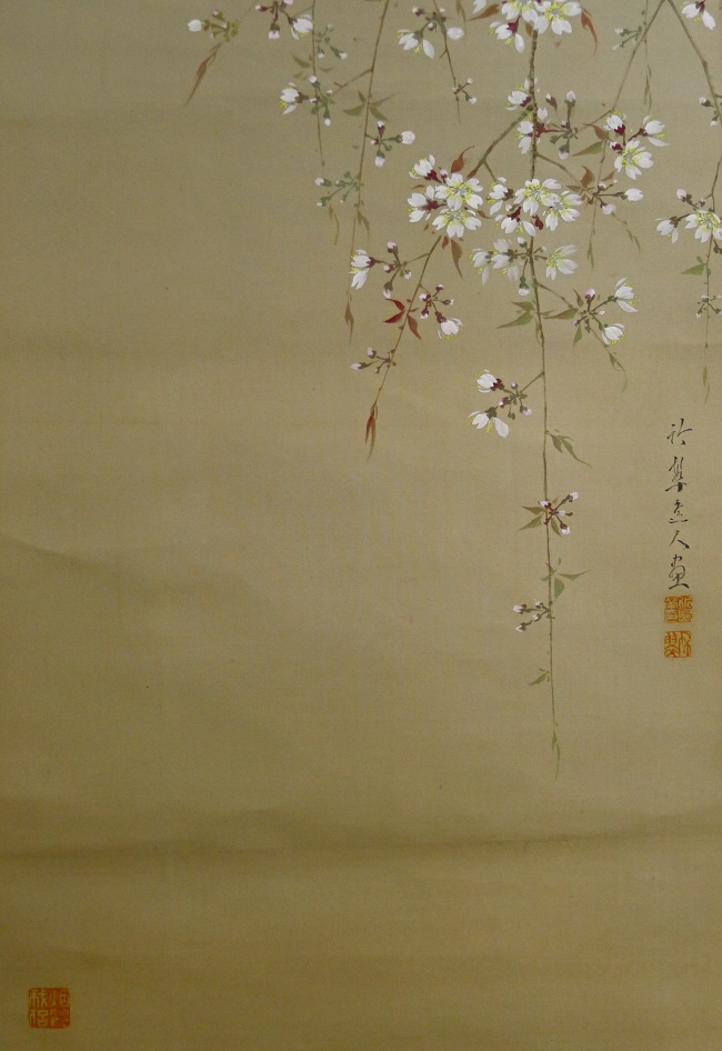 Japanese cherry blossoms