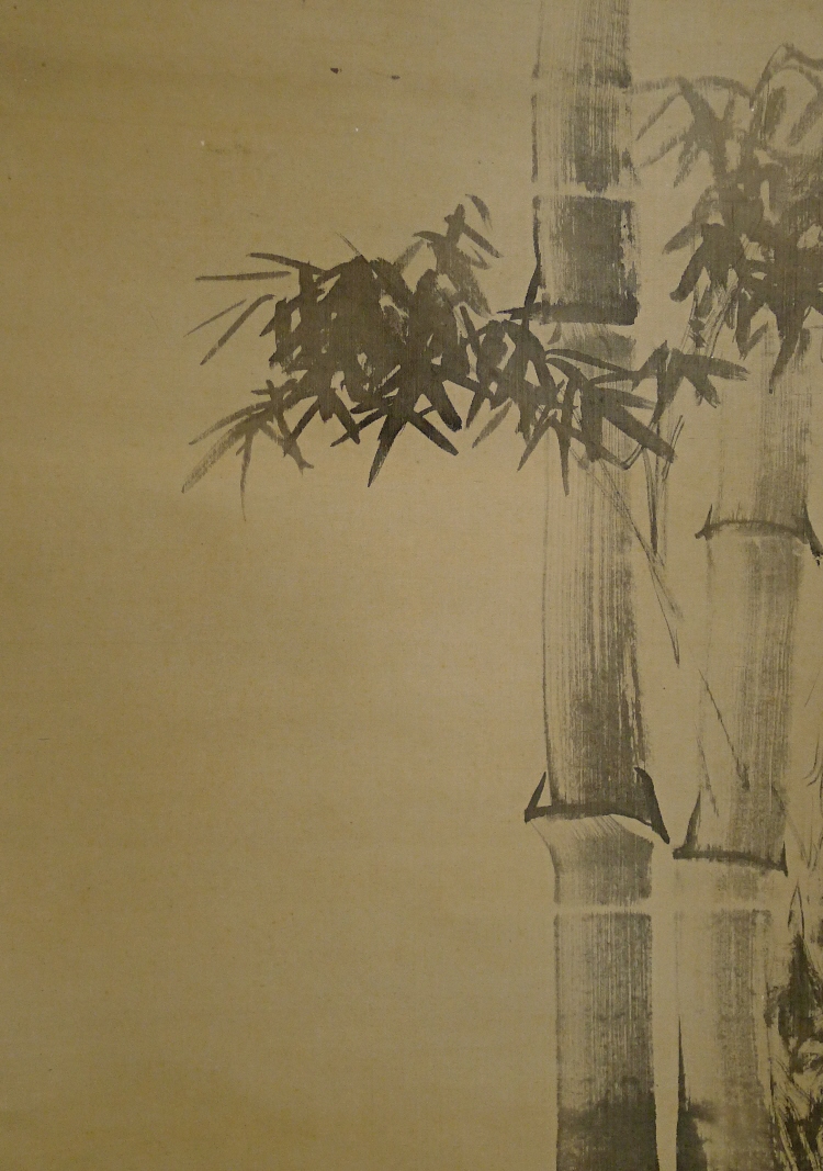 Japanese Bamboo Tree