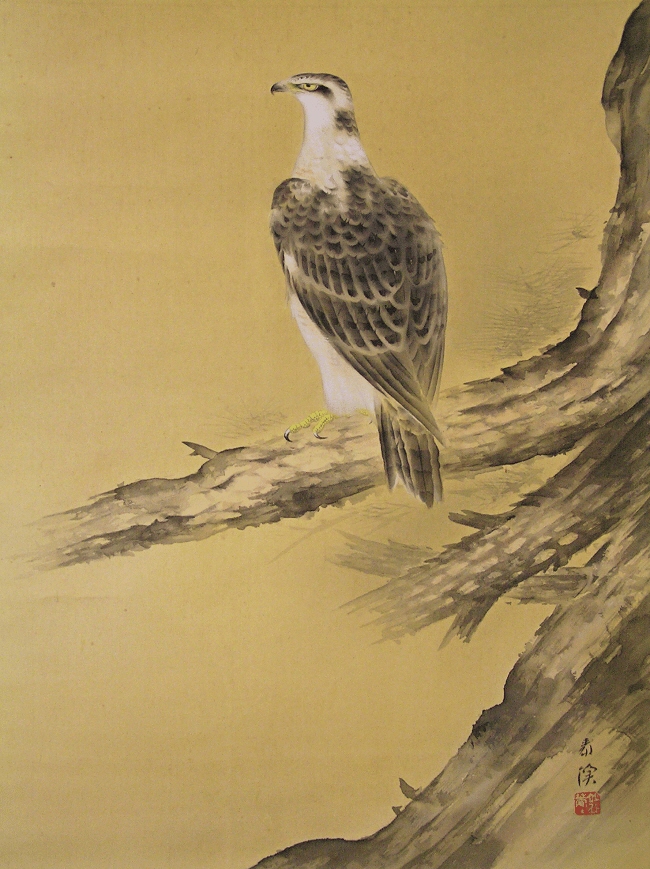 SS-50013 [ Hawk on Matsu Tree ] Japanese Old-Time Bird-and-Flower ...