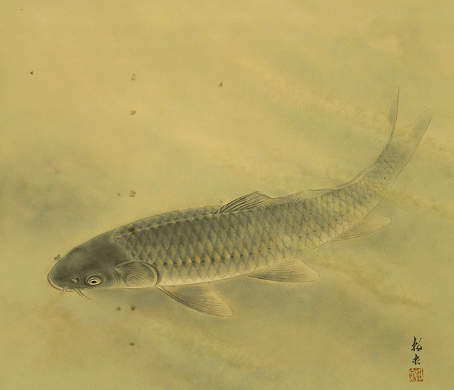 Swimming Carp