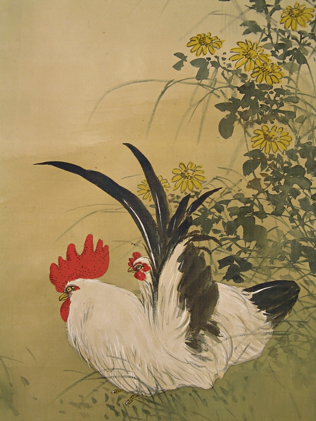 Shrysanthemum Flowers, Chickens