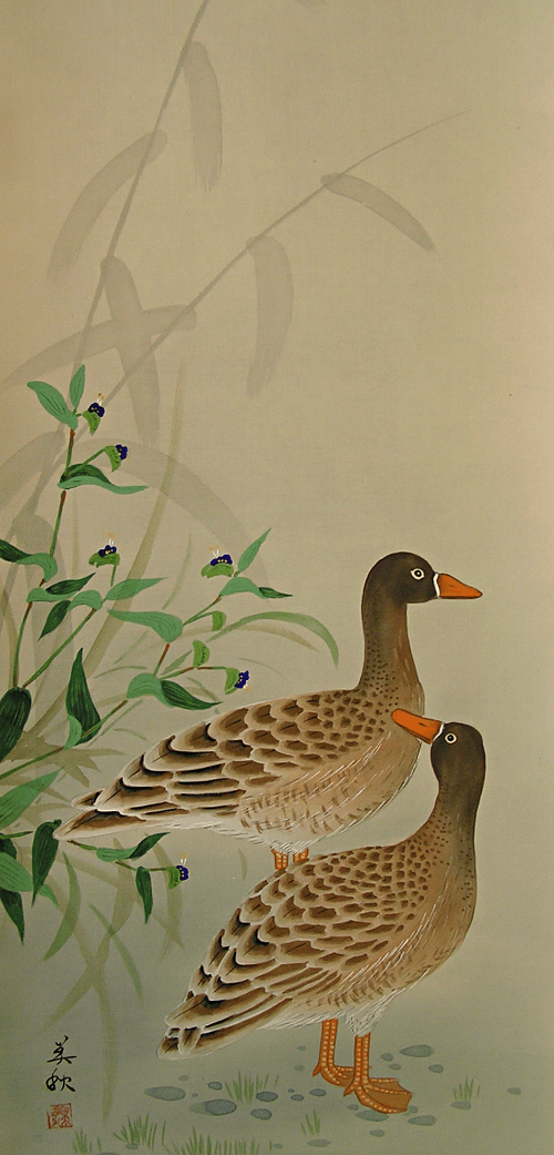 Wild Ducks and Grass