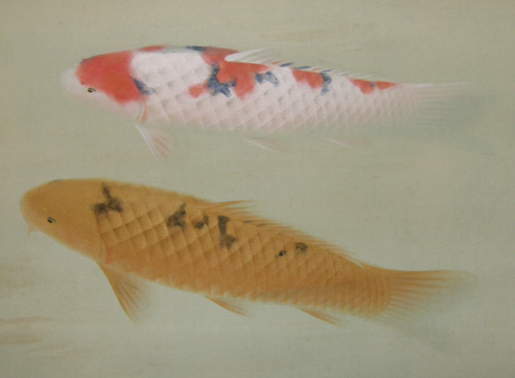 Swimming Carp