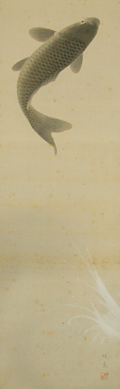 A carp fish is jumping