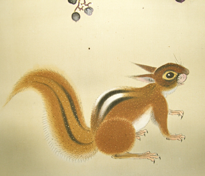 Risu (Squirrel)