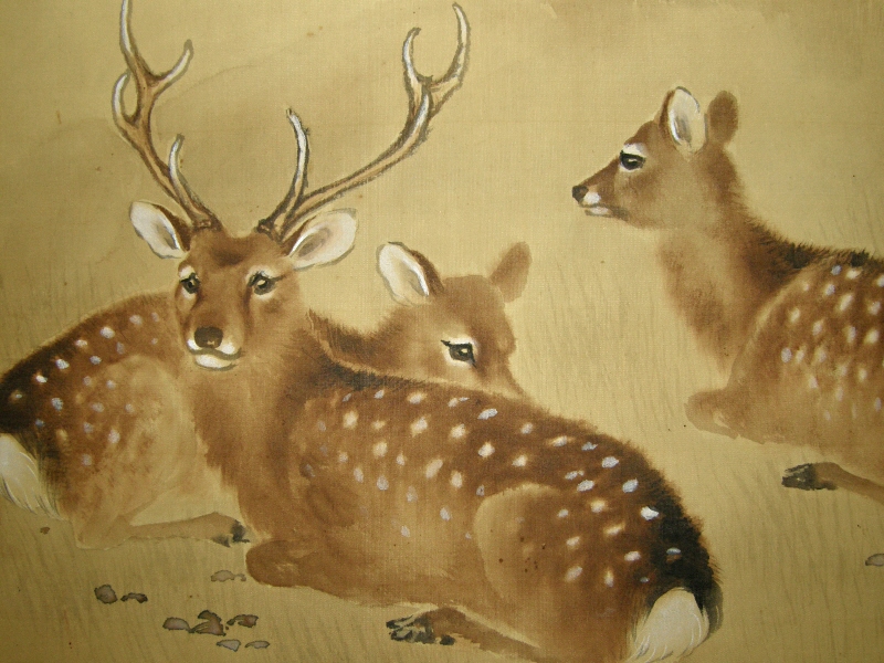 Deer Family