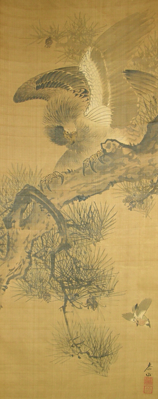 Hawk (Taka) on Matsu Tree