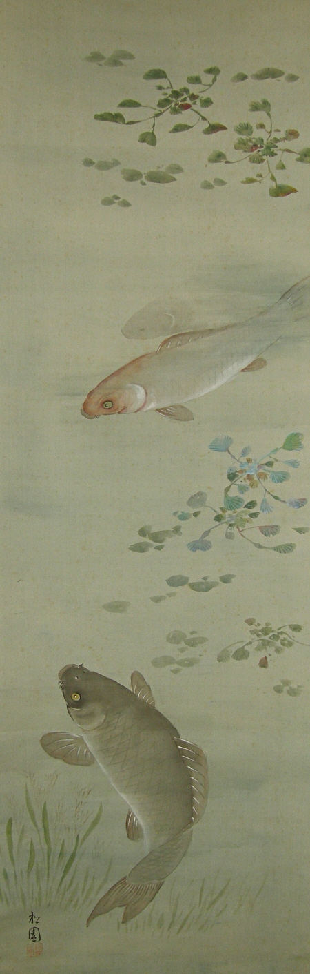 Swimming Carp Family