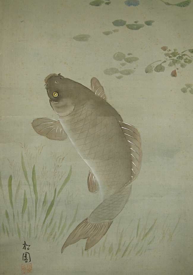 Swimming Carp