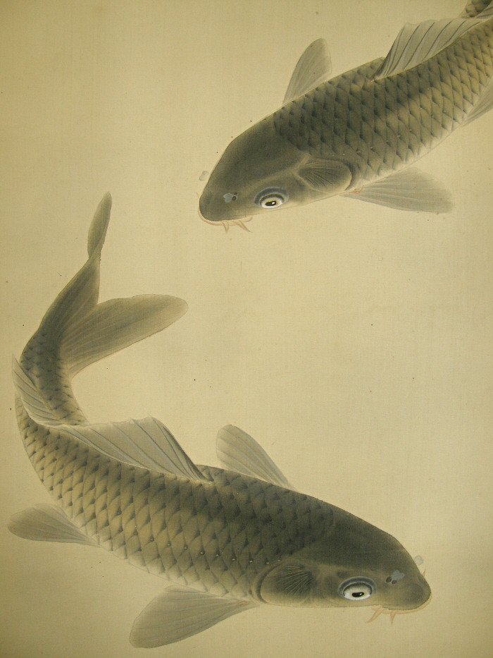 Carp Fish