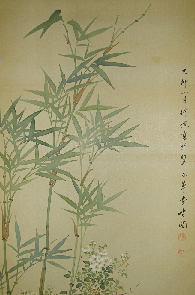 Sasa (Japanese Bamboo)