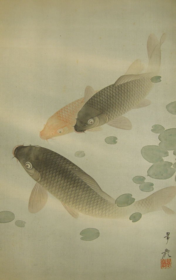Swimming Koi Fish