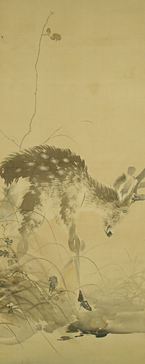 Shika (Japanese Deer)