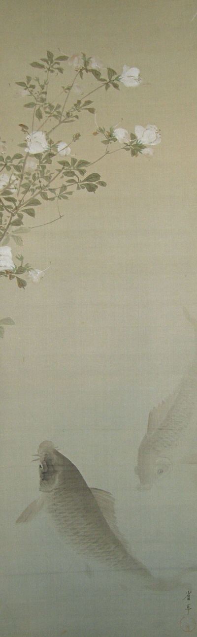 Carp Fish under Flowers