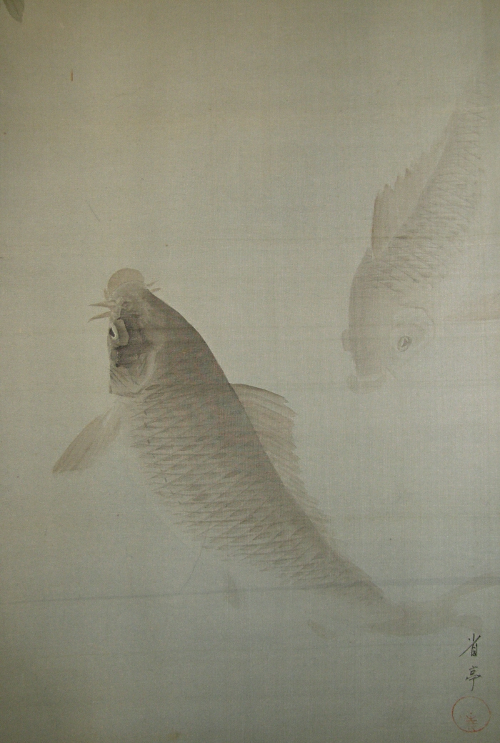 Koi Fish (Carp)