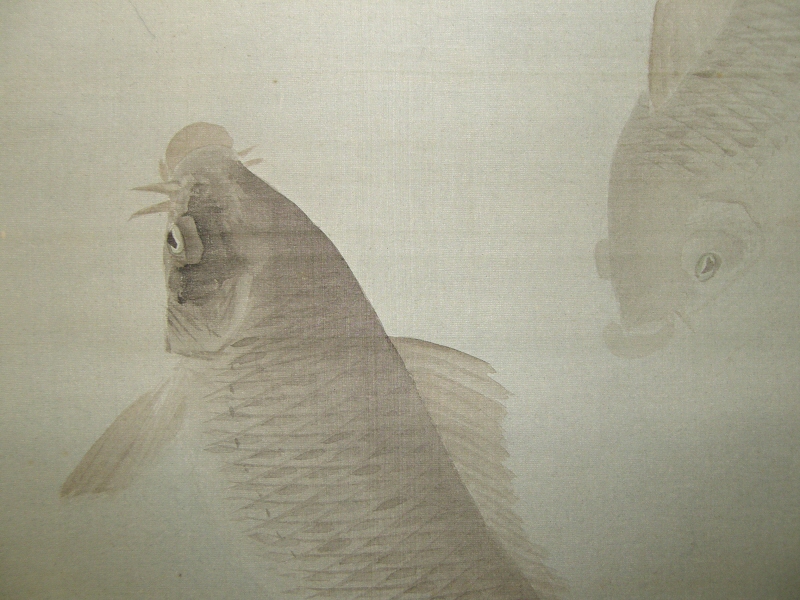 Swimming Carp (Koi Fish)