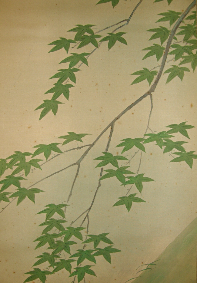 Kaede Leaves (Japanese Maple)
