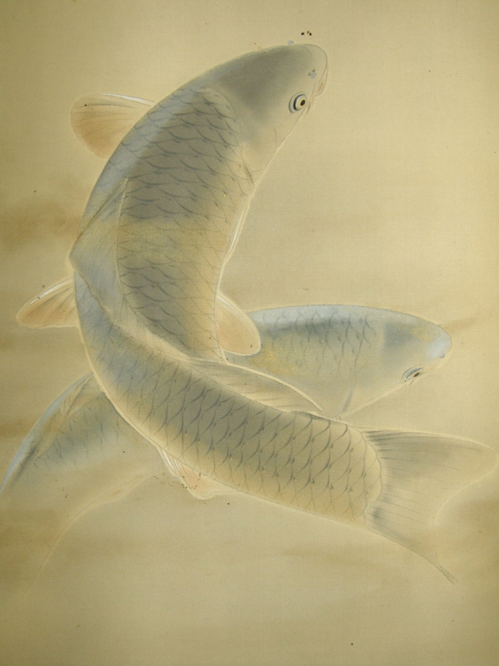 Carp Fish Couple